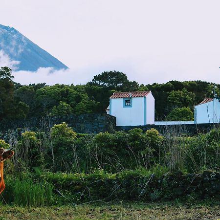 Villa Casa Do Paim à São Roque do Pico Extérieur photo