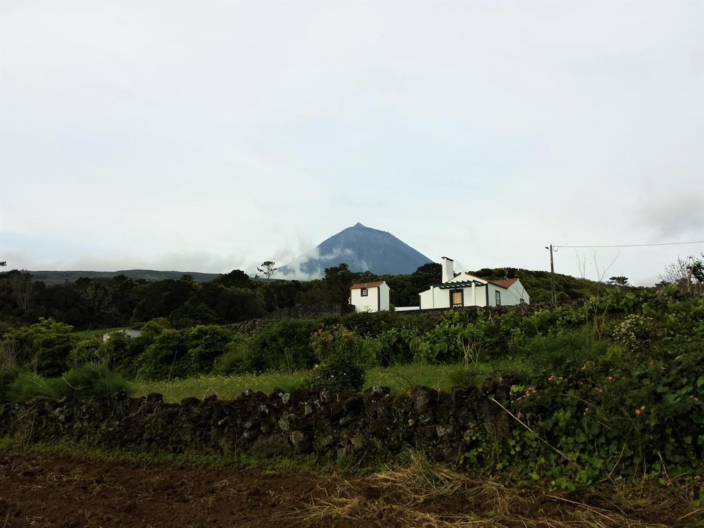 Villa Casa Do Paim à São Roque do Pico Extérieur photo