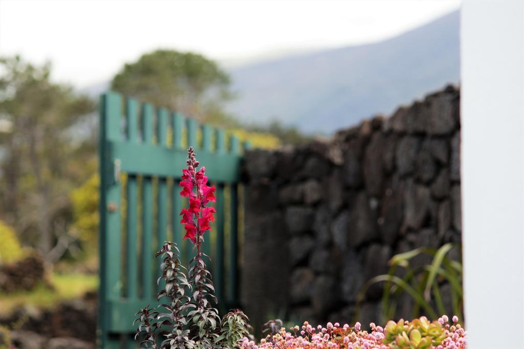 Villa Casa Do Paim à São Roque do Pico Extérieur photo