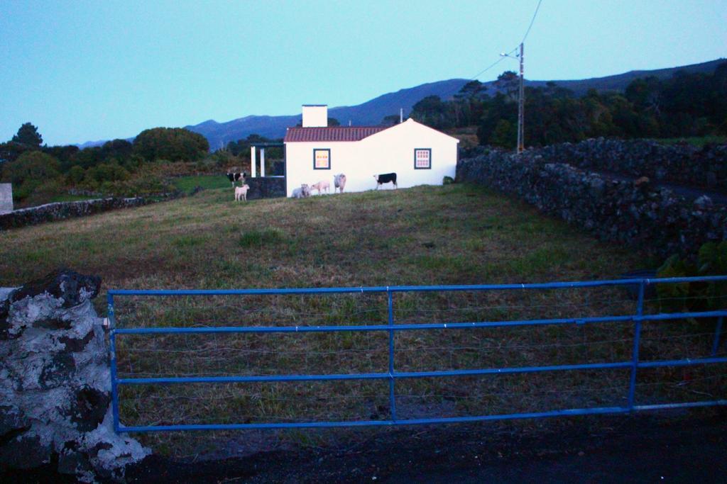 Villa Casa Do Paim à São Roque do Pico Extérieur photo