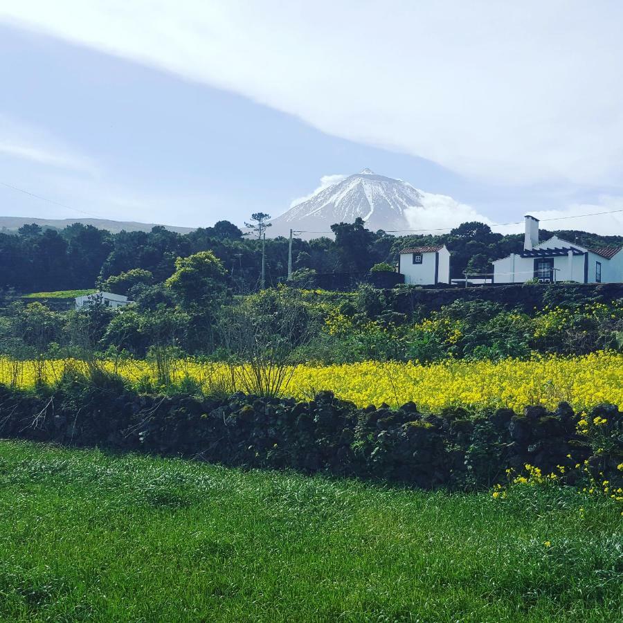 Villa Casa Do Paim à São Roque do Pico Extérieur photo